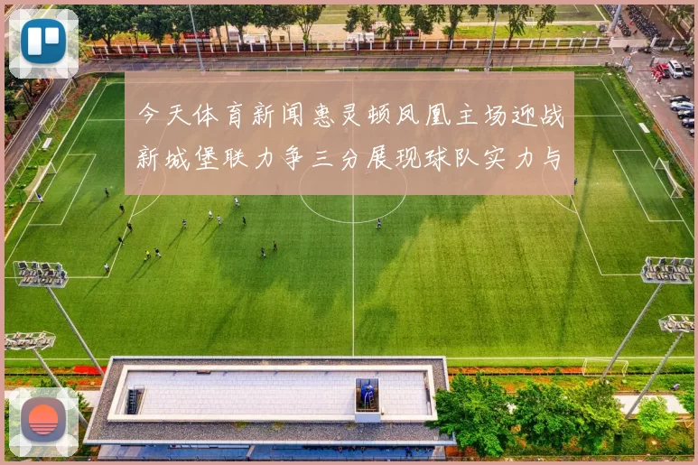 今天体育新闻惠灵顿凤凰主场迎战新城堡联力争三分展现球队实力与决心