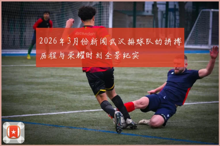 2026年3月份新闻武汉排球队的拼搏历程与荣耀时刻全景纪实