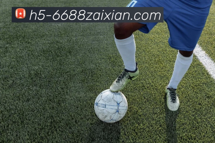 在线6688平台生态图